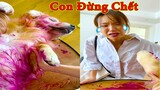 Thú Cưng TV | Gâu Đần và Bà Mẹ #22 | Chó Golden Gâu Đần thông minh vui nhộn | Pets cute smart dog