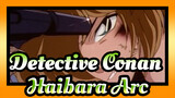 [Detective Conan] TV176(190)-1 Haibara Arc_J