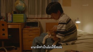 ผ้าห่มแมว ตอน 4