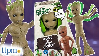 I Am Groot Groove 'N Grow Groot