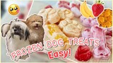 PAANO GUMAWA NG HOMEMADE FROZEN TREATS FOR DOGS! Easy! | How to Make Homemade Frozen Treats For Dogs