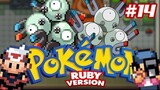 Pokémon Ruby #14 - New Malville & Selva a vista!