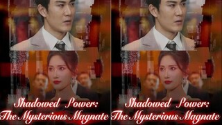 Shadowed Power: The Mysterious Magnate