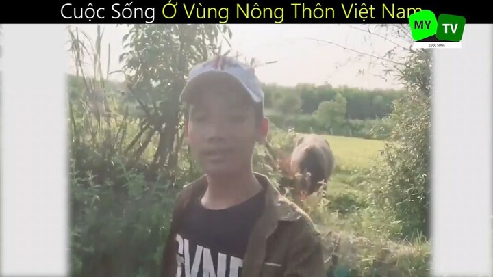 Cuộc Sống Ở Vùng Nông Thôn Việt Nam_phần 4