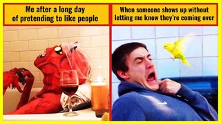 Only Hilarious Memes Will Find It Funny | Introvert Memes Funny V1