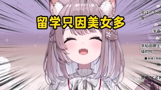 日本猫猫笑疯了！中国老哥坦言去日本上智留学只因美女多