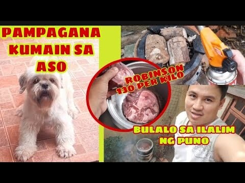 PAMPAGANA KUMAIN SA ASO + PAGLULUTO NG BULALO SA ILALIM NG PUNO