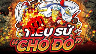 ONE PIECE | AKAINU LÀ AI? THỢ BÁN BÁNH DONUT SỐ 1 HẢI QUÂN!