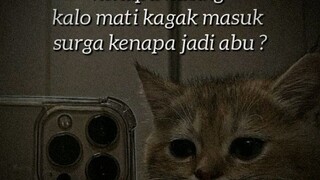 kenapa kucing kalo mati ngga masuk surga?