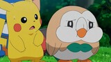 [Pokémon] Siapa yang bisa mengatakan tidak pada Burung Hantu yang mengantuk?