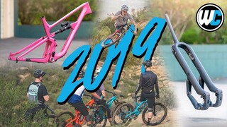 365 Days Of Shenanigans & Progress - Worldwide Cyclery 2019 Recap