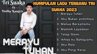 kumpulan lagu terbaru tri suaka