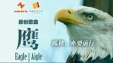 李捷-鹰 _ Jie LI - Eagle _ Aigle