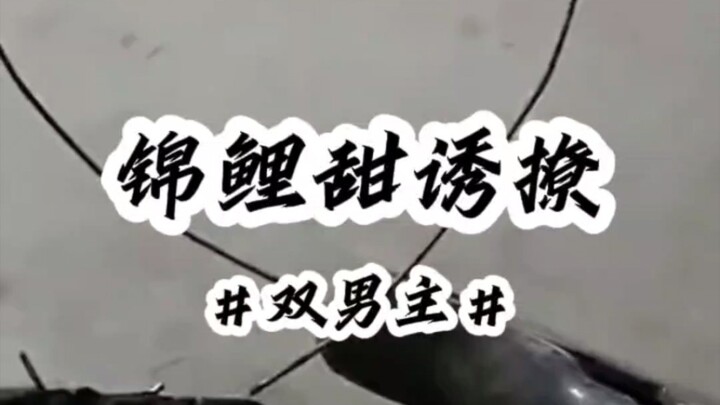 满是alpha的宿舍里，有人却捡到了一根验孕棒
