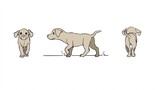 【2D Animation】Multi-angle puppy walking animation