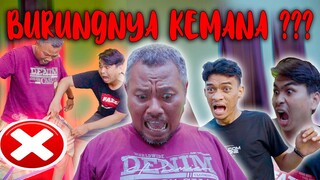 KOK BISA❓ BURUNG PAK AMIR HILANG ‼️| SEBUTSAJA DAYAT