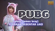 PUBG: LEBAY (LEMES BRAYY) | PUBG MOBILE