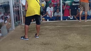 RCR Sky Backyard my Talisay Fight