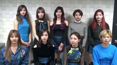 Rabbit Strikes Rainbow Yao | 30 Active Female Idols of Ping Family | "We are definitely not hot-bloo
