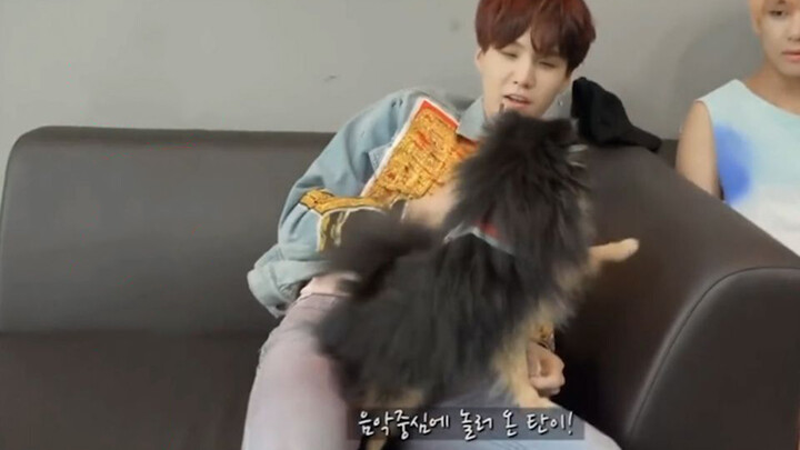 [Entertainment]BTS members' interaction with a pet dog