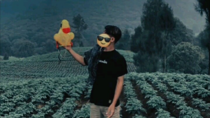 sementara sama bebek dulu yages