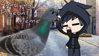 Annoying Pigeon Meme || Gacha Life