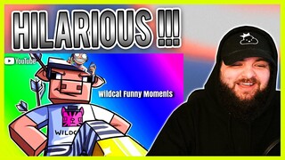 Vanoss Crew - WILDCAT Funny Moments Compilation (Best Moments) *Reaction*