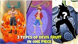 3 TYPES OF DEVIL FRUIT IN ONE PIECE
