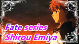 [Fate series] To Everlasting Justice's Guard--- Shirou Emiya