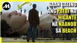 PATAY na HIGANTE, naging TOURIST ATTRACTION | Movie Recap Tagalog