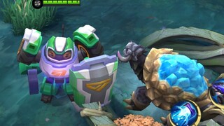 TURTLE FOUND A NEW BEST FRIEND