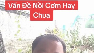 Cơm chưa ăn đã chua