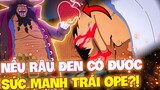 RÂU ĐEN CÓ TRÁI OPE CỦA LAW SẼ KINH KHỦNG CỠ NÀO?! | SPOILER 1081+ OP