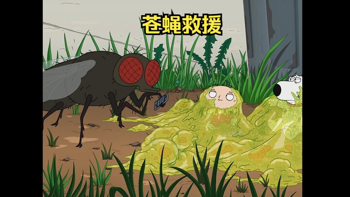 饺子与布莱恩被困，苍蝇给同伴打电话救人