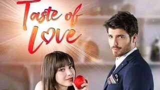 TASTE OF LOVE episode 26 FINALE Turkish drama tagalog dubbed