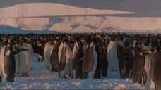 March of the Penguins (2005)