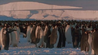 March of the Penguins (2005)