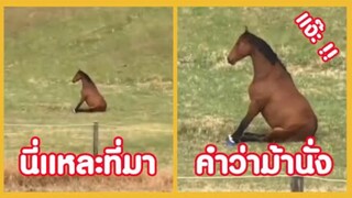 รวมคลิปตลกๆ :นี่เเหละคือที่มาของคำว่า!!…ม้านั่ง