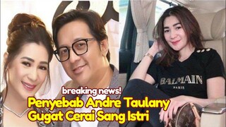 KAGET! Penyebab Andre Taulany Gugat Cerai Sang Istri, Kapok Rien Trigina Berulah Rekan Artis Dukung