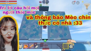 Mini World | Parkour Trả Lời Câu Hỏi Và Thông Báo Mèo Chính Thức Có Nhà | Diệu Mèo TV