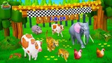Funny Animals Race in the Forest | Funny Elephant Cheats Tiger, Cow, Hippo, Bear to Win the Race