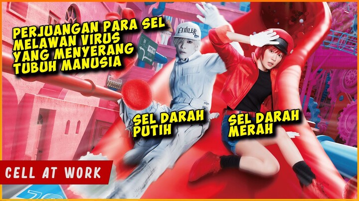Ketika SEL Tubuh MANUSIA Bersatu Melawan VIRUS