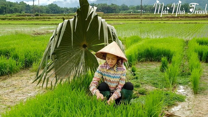 Going to plant rice with Mai Nha Tranh