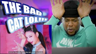 ITZY “LOCO” M/V | REACTION!!!