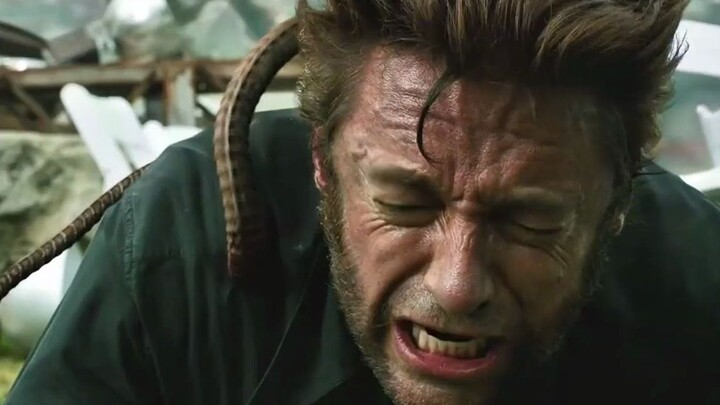 [Remix]Even without Adamantium, Wolverine cannot win Magneto|<X-Men>
