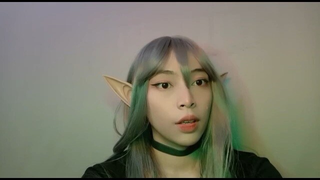 Cosplay Elf