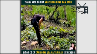 cuộc sống trong rừng p7