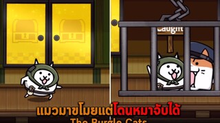 แมวมาขโมยแต่โดนหมาจับได้ The Burgle Cats