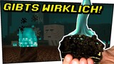 SOULSOIL GIBTS WIRKLICH! Minecraft in Real Life 7 - Gefährliche Experimente #144