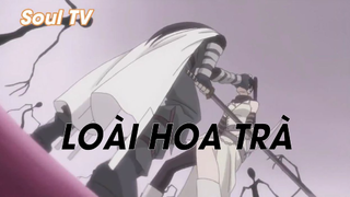 Soul Eater (Short Ep 11) - Loài hoa trà #souleater